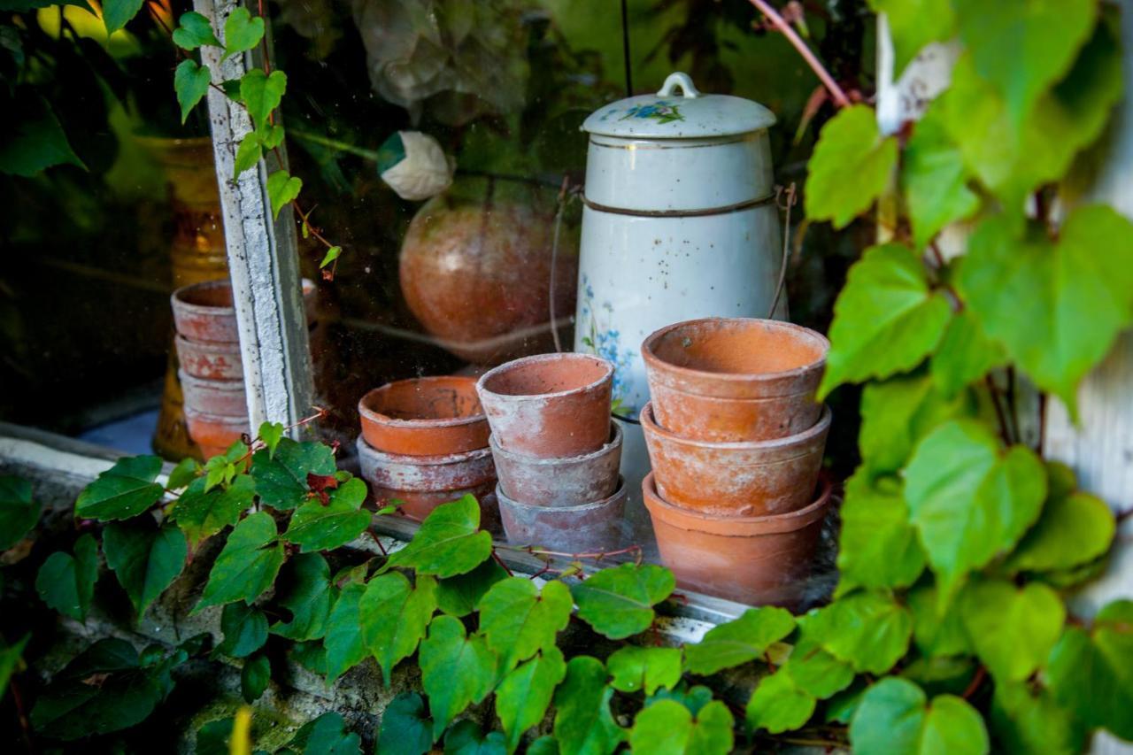 Jardin Et Hotel Particulier Bayeux Eksteriør billede